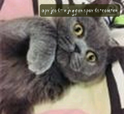 刘杰