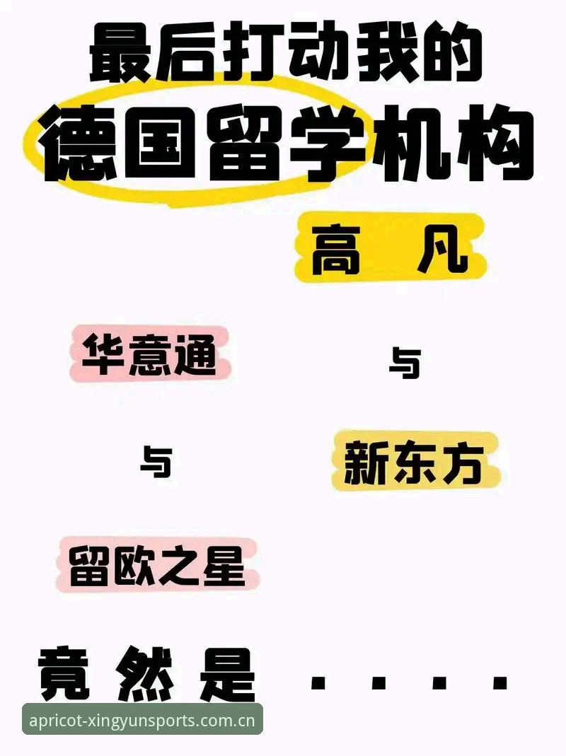 杏运体育平台下载与使用完整指南：从渠道获取到赛事数据深度分析